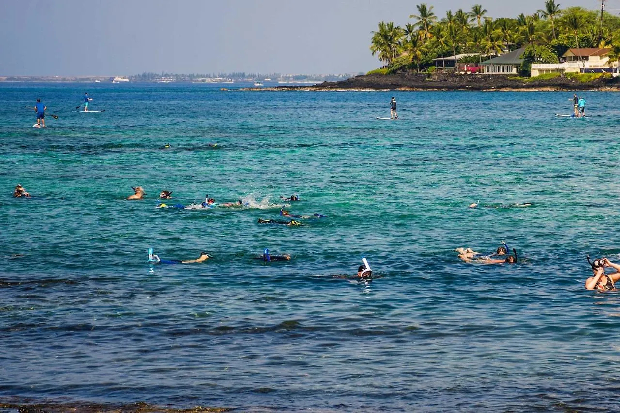 Downtown Kona Condo With Pool Access Walk To Beach! Kailua-Kona